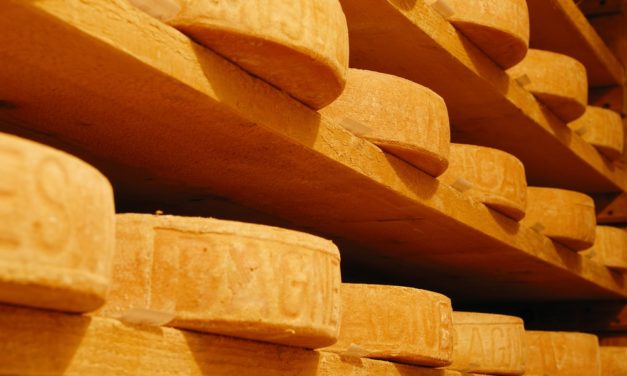 Quel fromage utiliser pour une bonne raclette ?